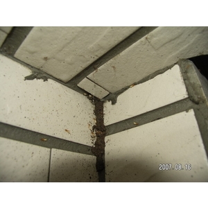 除白蟻-外牆瓷磚