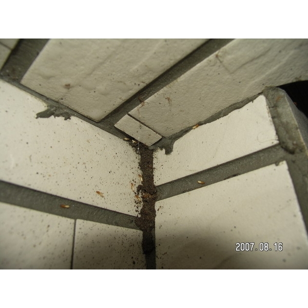 除白蟻-外牆瓷磚,保固除蟲消毒有限公司