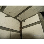 除白蟻-外牆瓷磚 - 保固除蟲消毒有限公司