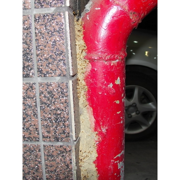 除白蟻-消防系統,保固除蟲消毒有限公司