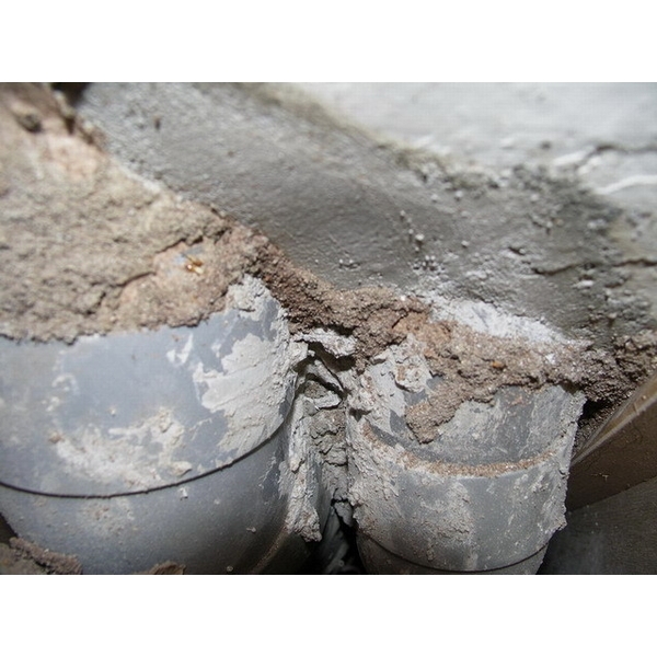 除白蟻-排水管路,保固除蟲消毒有限公司