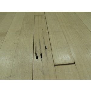 除白蟻-楓木地板