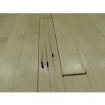 除白蟻-楓木地板 - 保固除蟲消毒有限公司