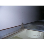 除白蟻-輕鋼架 - 保固除蟲消毒有限公司