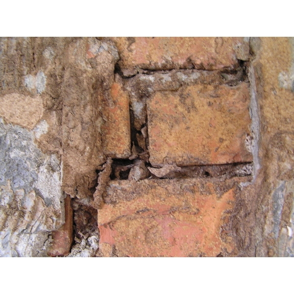 除白蟻-磚牆縫隙