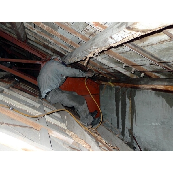 除白蟻-蟻巢滅系統