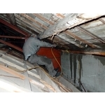 除白蟻-蟻巢滅系統 - 保固除蟲消毒有限公司