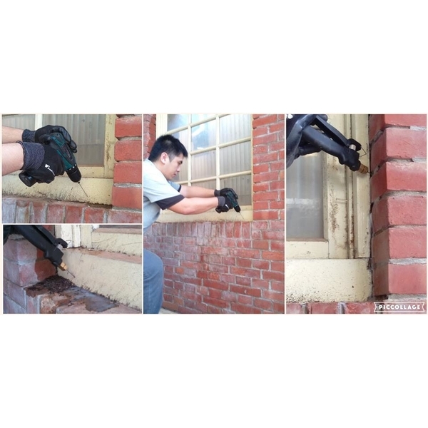 白蟻防治 白蟻防治,保固除蟲消毒有限公司