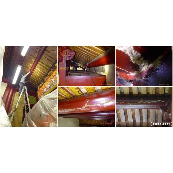 白蟻檢測&施工 白蟻檢測&施工,保固除蟲消毒有限公司