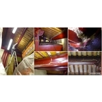 白蟻檢測＆施工 - 保固除蟲消毒有限公司