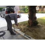 白蟻防治土壤灌注施工 - 保固除蟲消毒有限公司