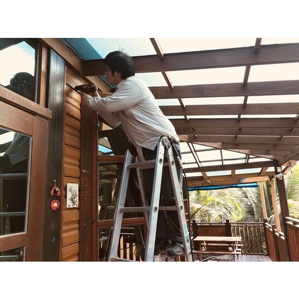 白蟻防治施工-保固除蟲消毒有限公司