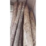 木樁 , 建昂有限公司