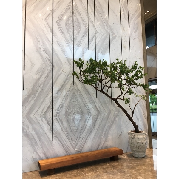 茂德-SKY1-大興實業有限公司