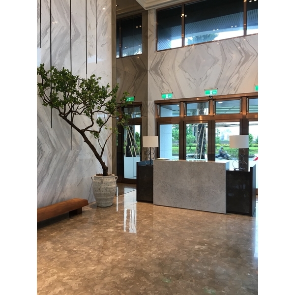 茂德-SKY1,大興實業有限公司