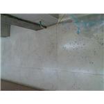 研磨前 - 大鴿專業清潔的店