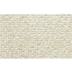 COTTO儷仕25x40cm TCO2431 , 北大欣股份有限公司