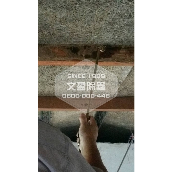 冠狀病毒肺炎環境消毒