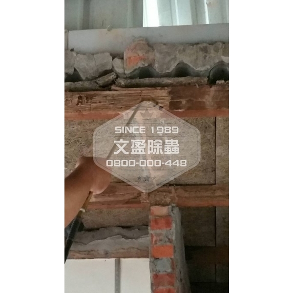 冠狀病毒肺炎環境消毒