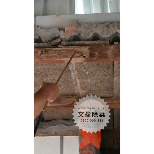 冠狀病毒肺炎環境消毒