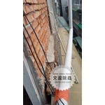 冠狀病毒肺炎環境消毒 - 文盈蟲害防治企業社