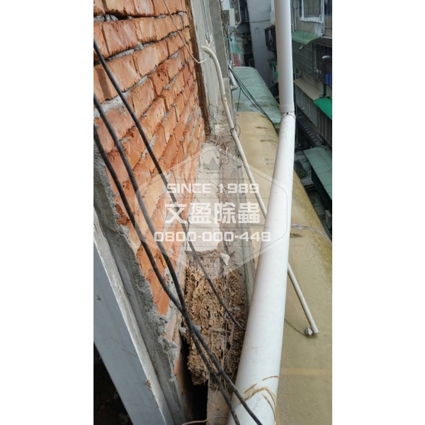 冠狀病毒肺炎環境消毒