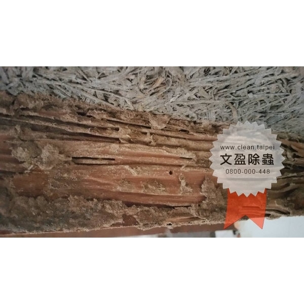 冠狀病毒肺炎環境消毒