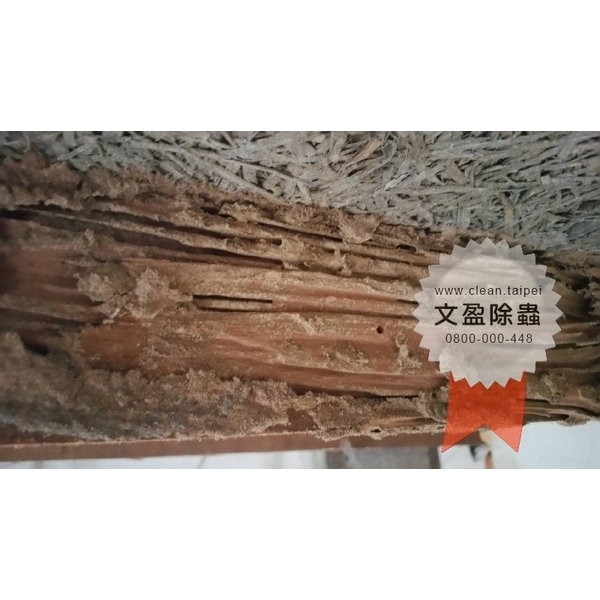 冠狀病毒肺炎環境消毒