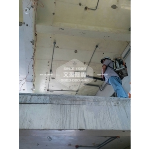 白蟻防治室內外施工