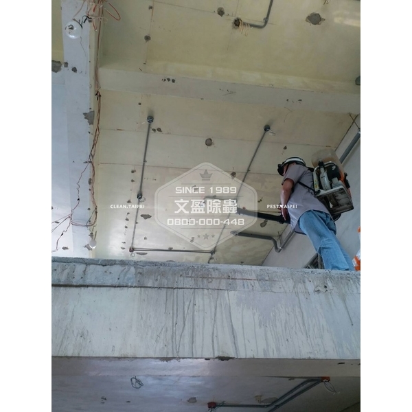 白蟻防治室內外施工