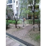 大樓.大廈.豪宅.除蟲環境消毒 - 文盈蟲害防治企業社