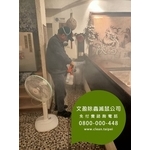 餐廳環境消毒除蟲-蟑螂.木蛀蟲.除蟲菊.螞蟻.除白蟻 - 文盈蟲害防治企業社