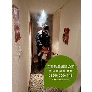 餐廳環境消毒除蟲-蟑螂.木蛀蟲.除蟲菊.螞蟻.除白蟻