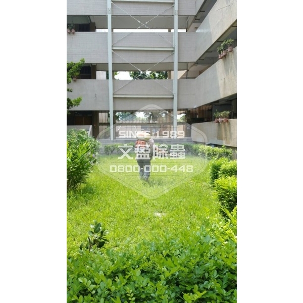 學校環境除蟲消毒-桃園