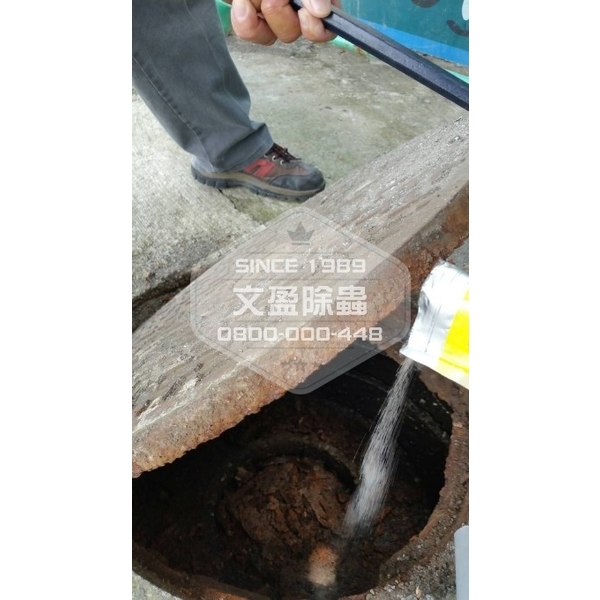 學校環境除蟲消毒-桃園