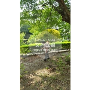 學校環境除蟲消毒-桃園