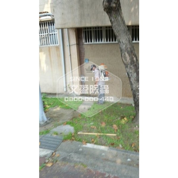 學校環境除蟲消毒-桃園