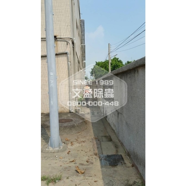 學校環境除蟲消毒-桃園