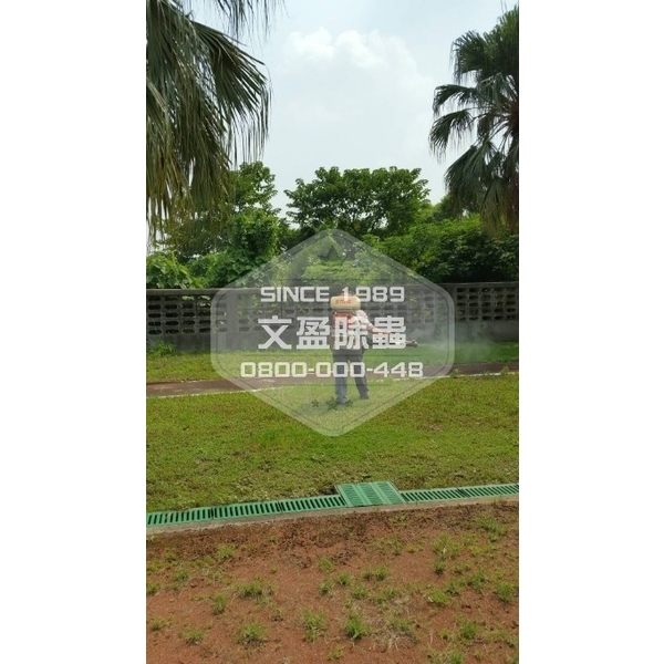 學校環境除蟲消毒-桃園