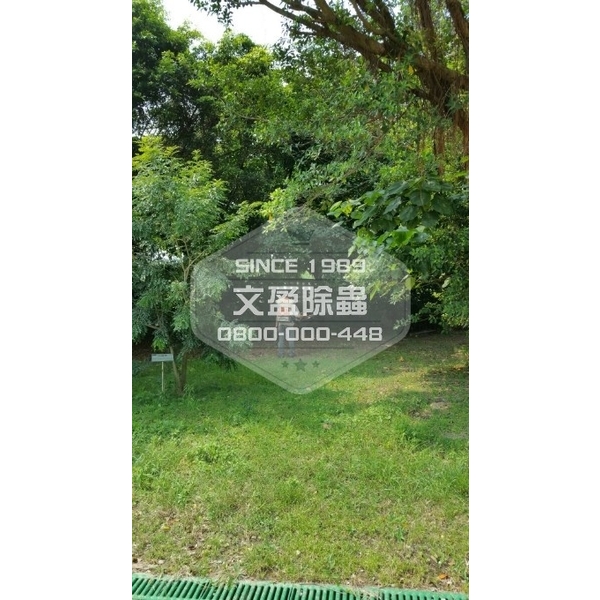 學校環境除蟲消毒-桃園