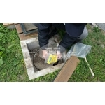 學校環境除蟲消毒.蜘蛛防治 - 文盈蟲害防治企業社