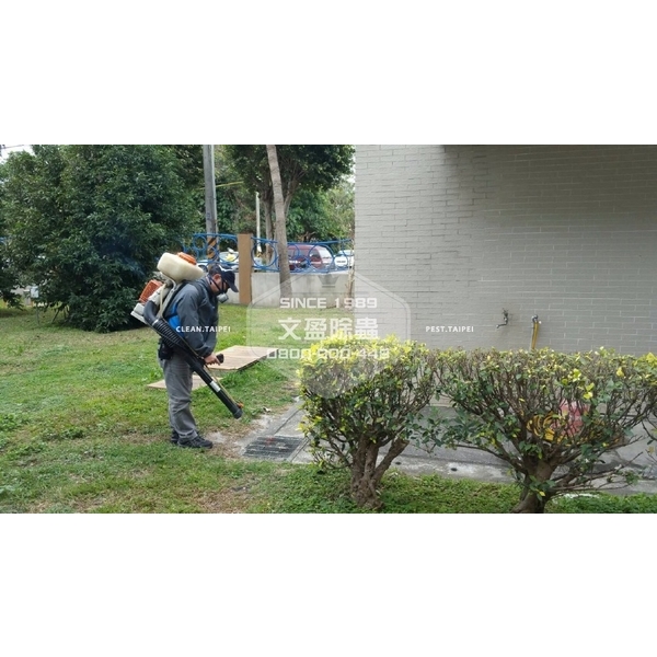 學校環境除蟲消毒.蜘蛛防治