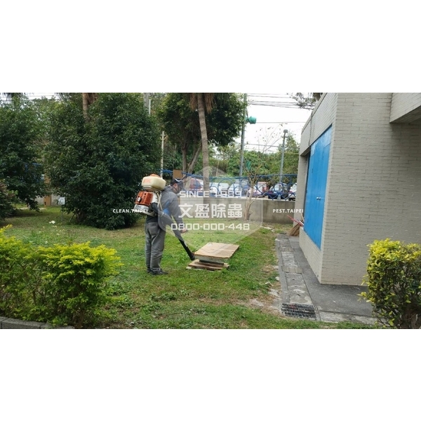 學校環境除蟲消毒.蜘蛛防治-文盈蟲害防治企業社