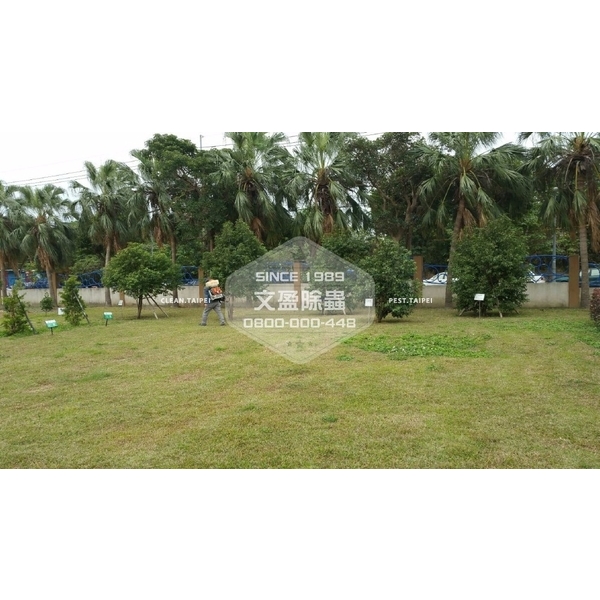 學校環境除蟲消毒.蜘蛛防治