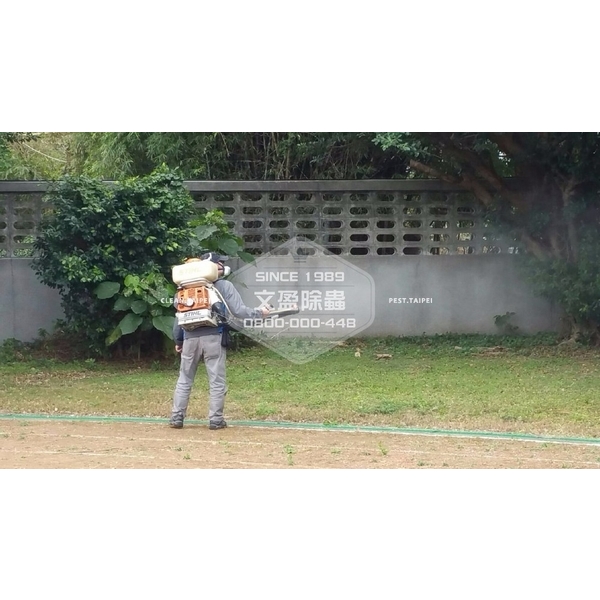 學校環境除蟲消毒.蜘蛛防治