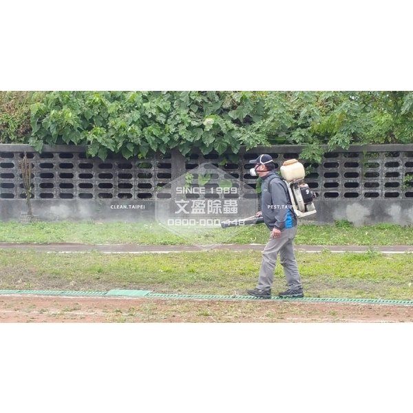 學校環境除蟲消毒.蜘蛛防治 學校環境除蟲消毒.蜘蛛防治-文盈蟲害防治企業社