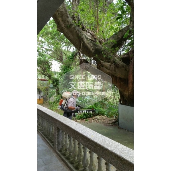 校園環境消毒.滅鼠.投藥-國家考場-文盈蟲害防治企業社