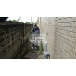 學校環境除蟲消毒.蜘蛛防治 - 文盈蟲害防治企業社