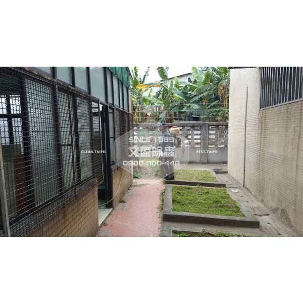 學校環境除蟲消毒.蜘蛛防治