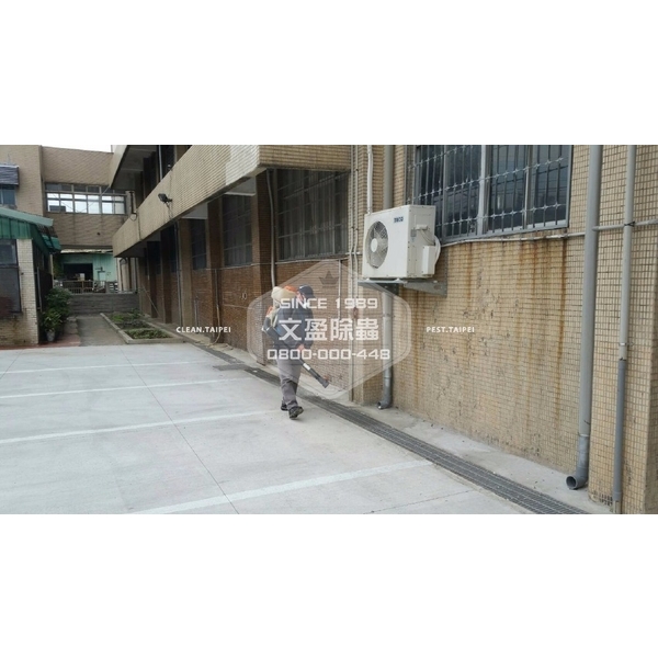 學校環境除蟲消毒.蜘蛛防治